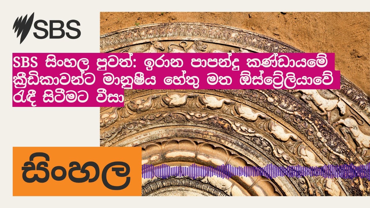 SBS සිංහල පුවත්: ඉරාන පාපන්දු කණ්ඩායමේ ක්‍රීඩිකාවන්ට මානුෂීය හේතු මත ඕස්ට්‍රේලියාවේ රැඳී සිටීමට...