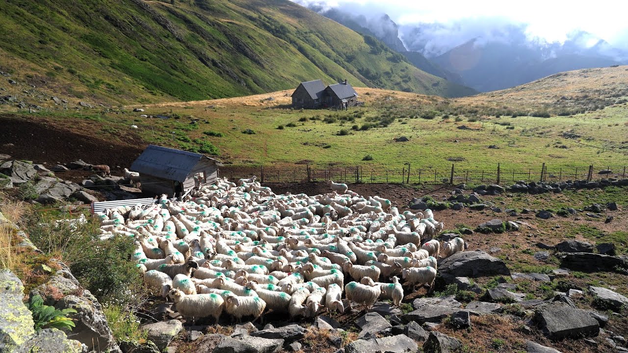 Ep5: ERA MOLHUDA / la traite