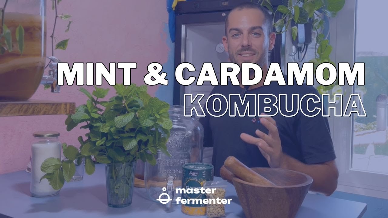 Fresh Mint & Cardamom Kombucha 🌿🍵 Master Kombucha Brewing
