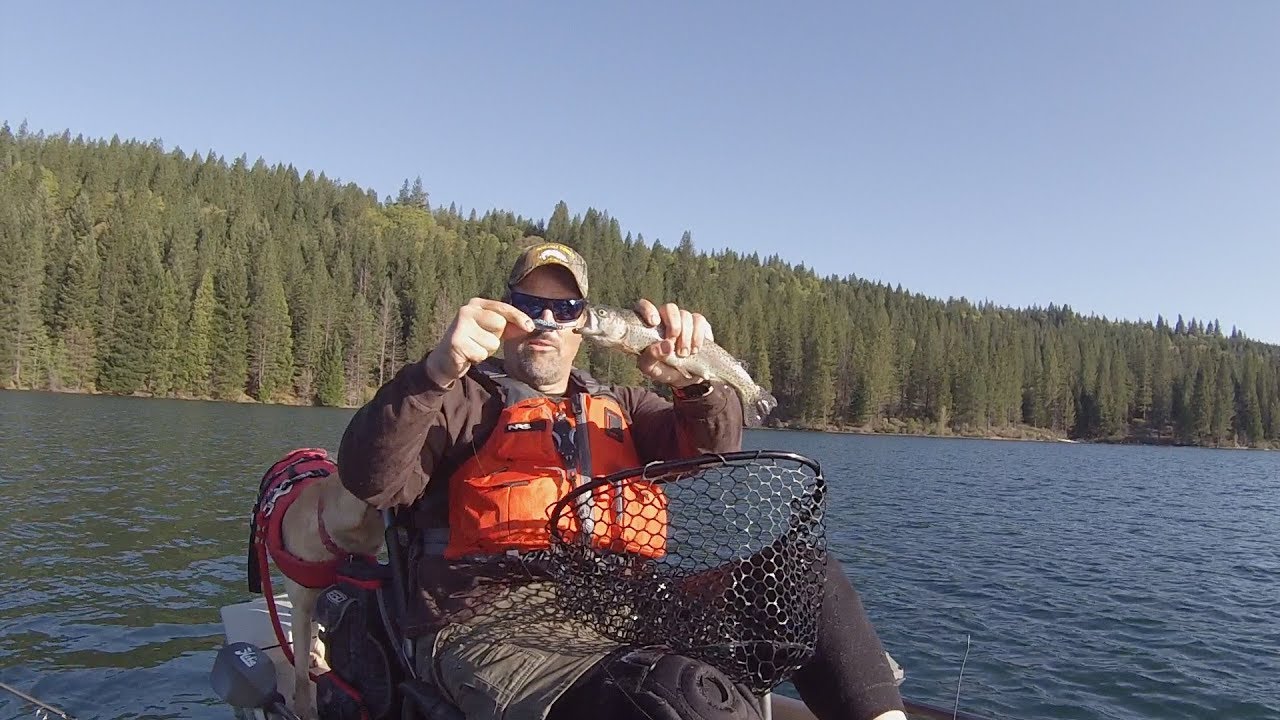 Trout Trolling Tactics: The Angle Of The Sun!