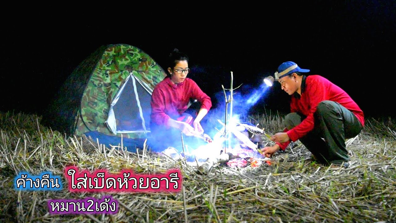 โดนแล้ว ไอ้ช่อนยักษ์ ใหญ่สุดในชีวิตที่เคยได้ ใส่เบ็ดค้างคืนห้วยอารี หมาน2เด้ง