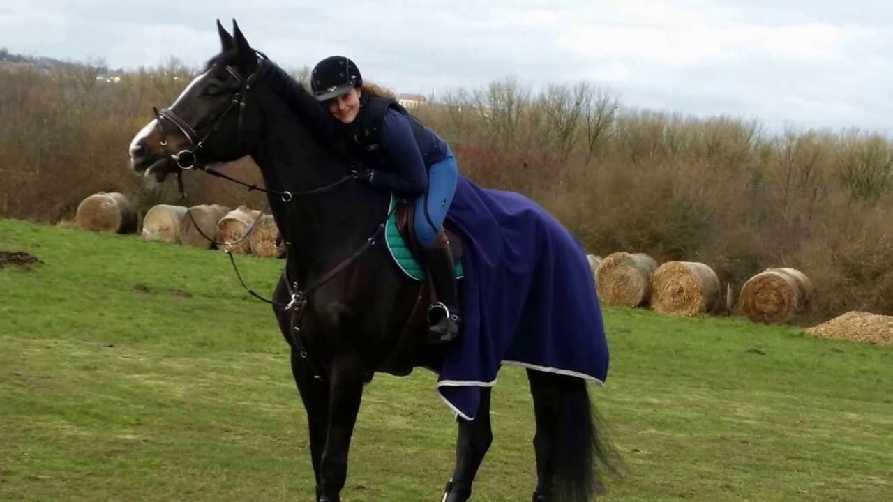 Wir haben Gekämpft, Gehofft und doch Verloren / R.I.P Escura