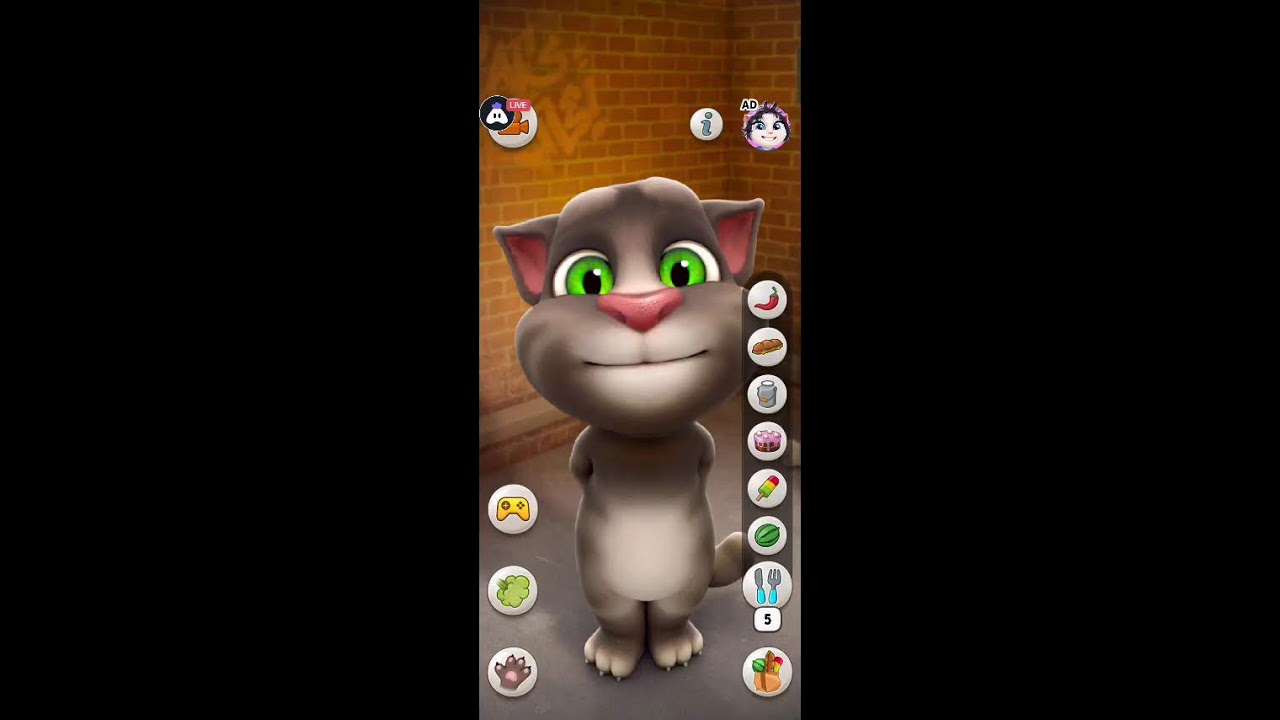 talking tom game