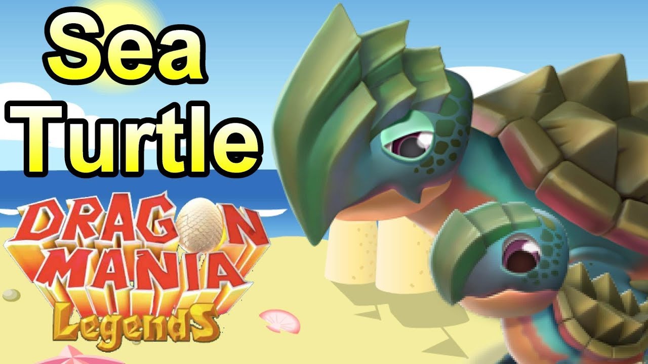 How to Breed the SEA TURTLE Dragon In DML! Enchantment Dragon Breeding Guide!