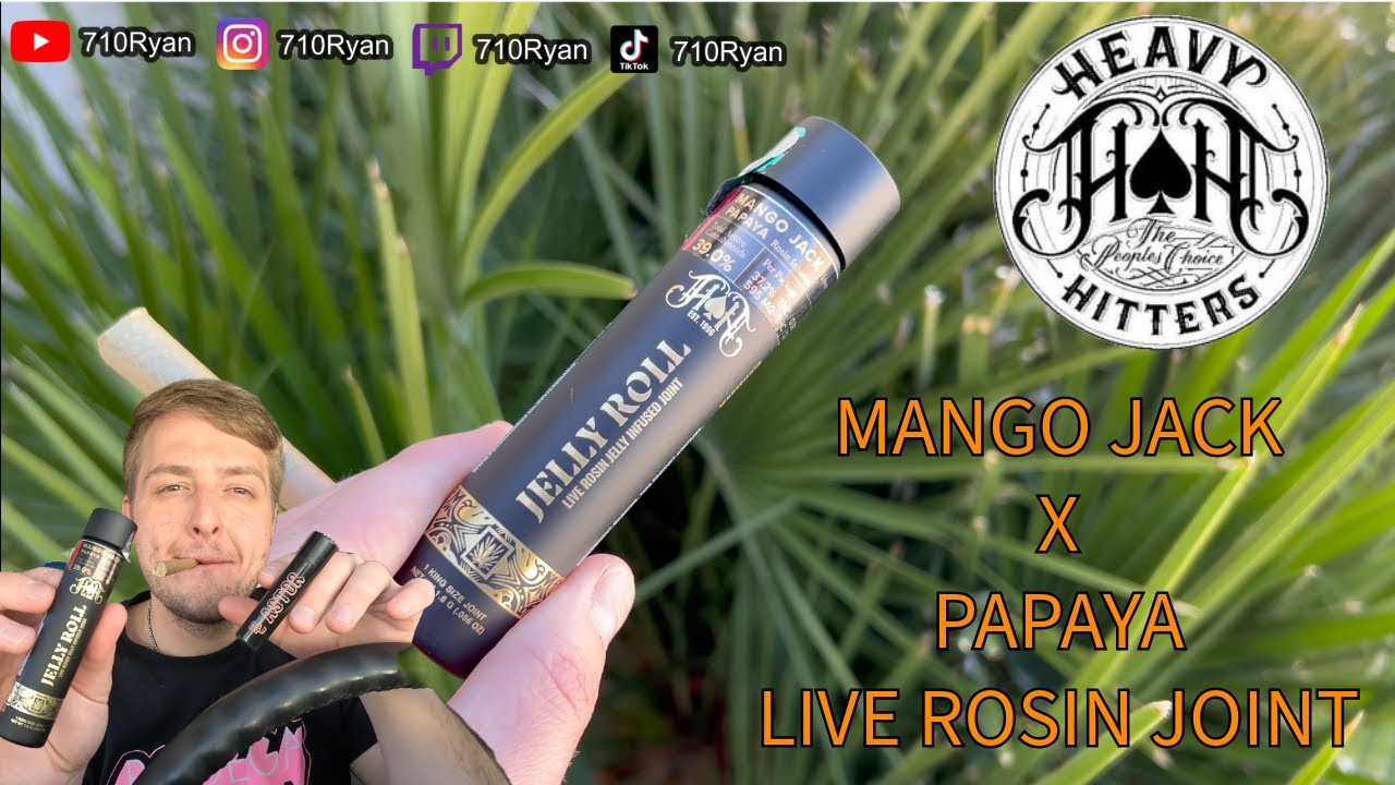 HEAVY HITTERS : Mango jack X Papaya LIVE ROSIN PREROLL!! 🥭🌴