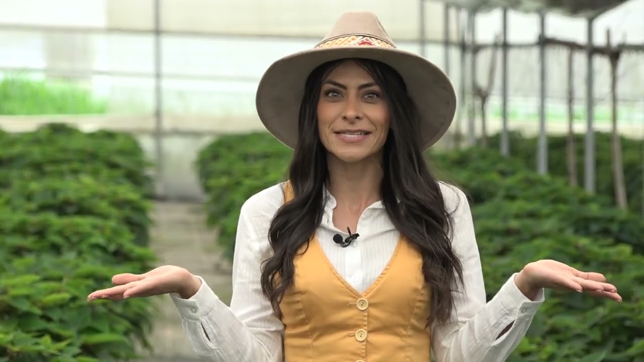 Conoce el Vivero Teopisca.