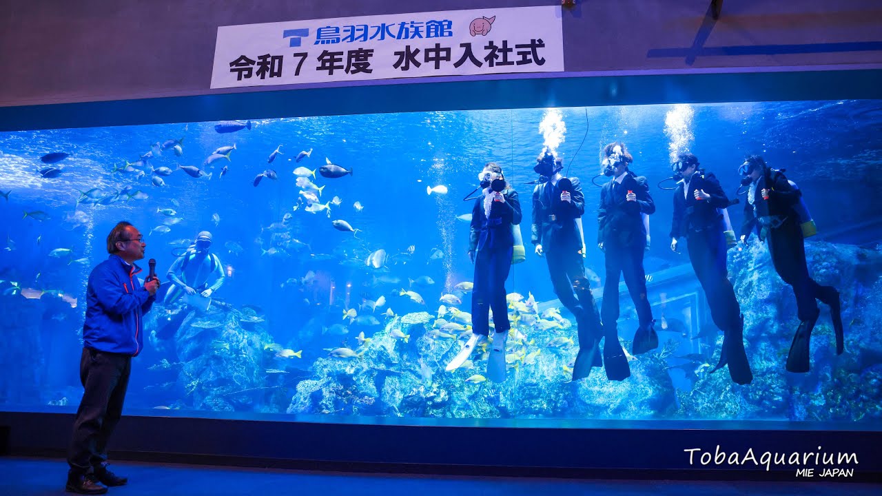 《鳥羽水族館》令和7年度 水中入社式を行いました