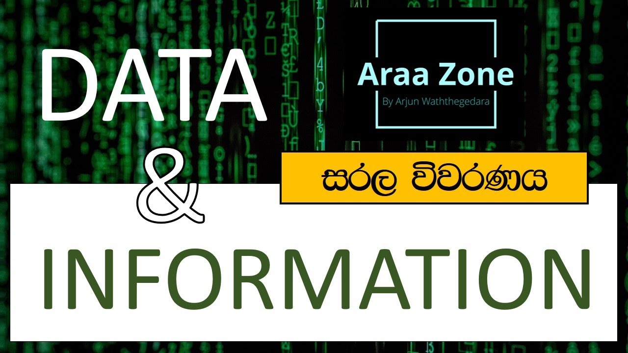 Data & Information | Simple Explanation | in Sinhala