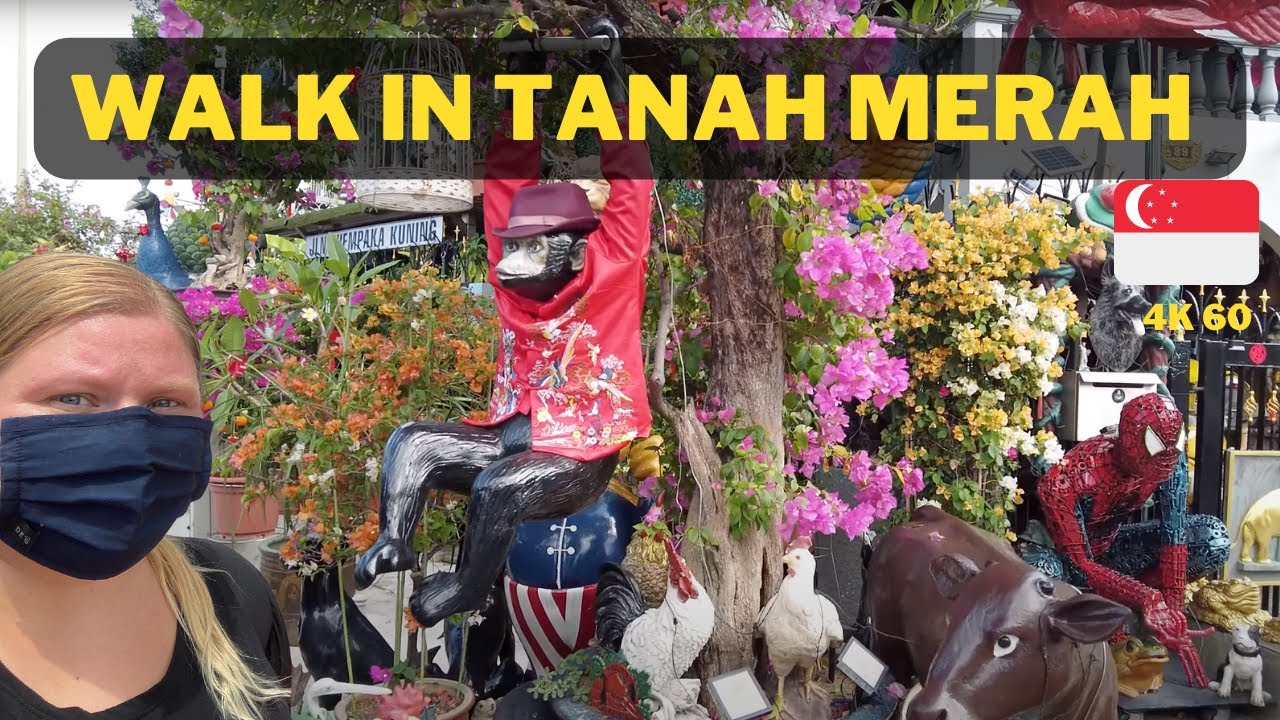 Afternoon Walk In Singapore: Tanah Merah (Feb 2022)