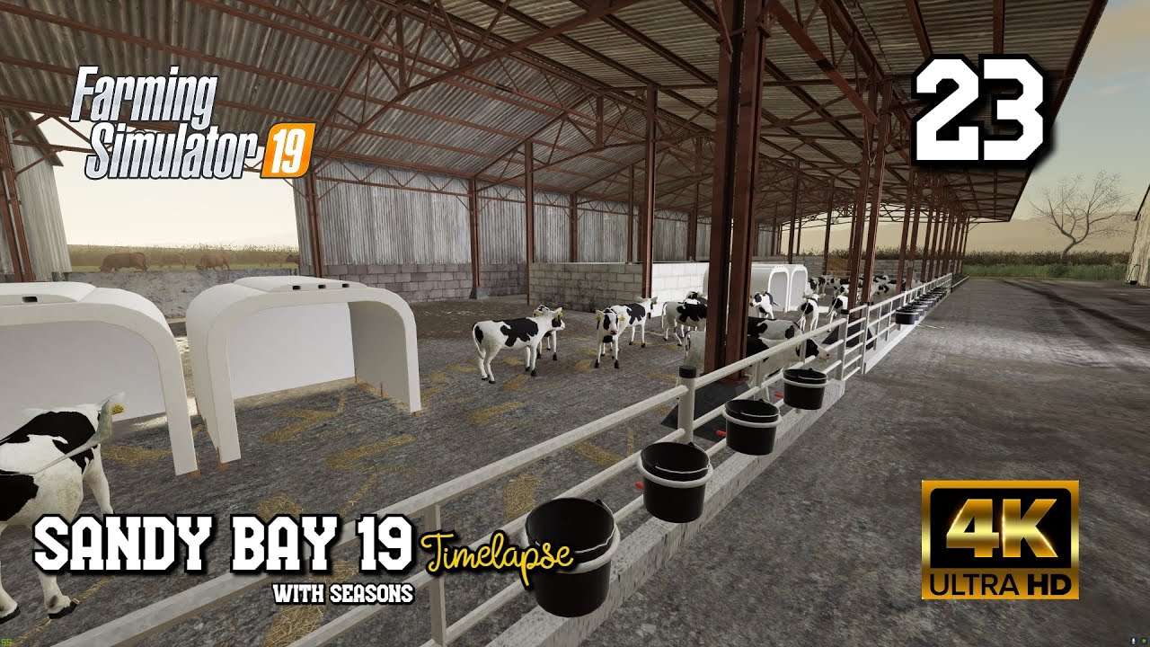 BUYING CALVES/Selling Crops, Cattle & Milk/Sandy Bay 19/Seasons/EP23/ FS19 4K Timelapse
