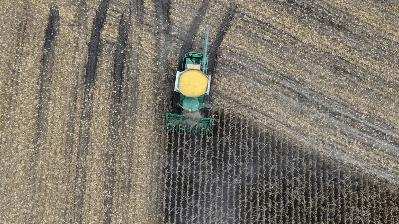 We Had To Fire Katie - John Deere Combine Stuck In The Swamp (Ep.140)