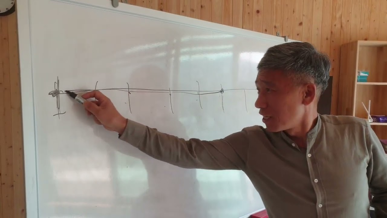진안에서 볼수있는 독특한 방식의 오미자 재배시설#2