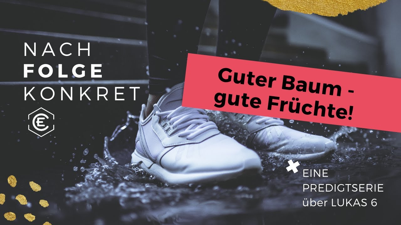 Guter Baum - gute Früchte! Predigt über Lk 6,43-45
