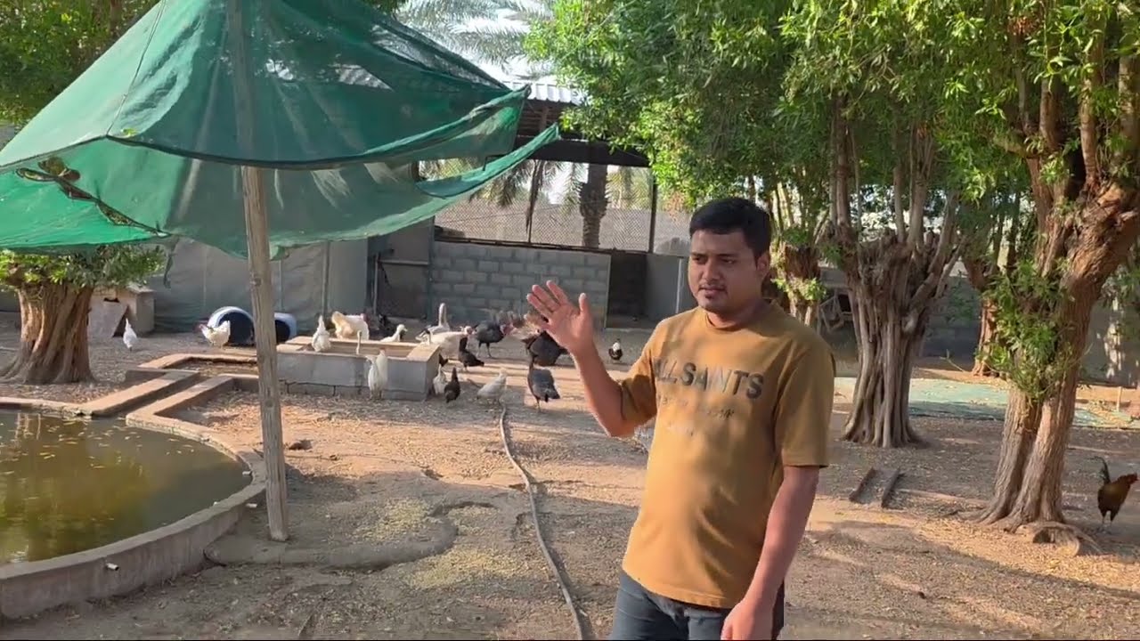 প্রাকৃতিক  পরিবেশে  হাঁস মুরগী পালন 