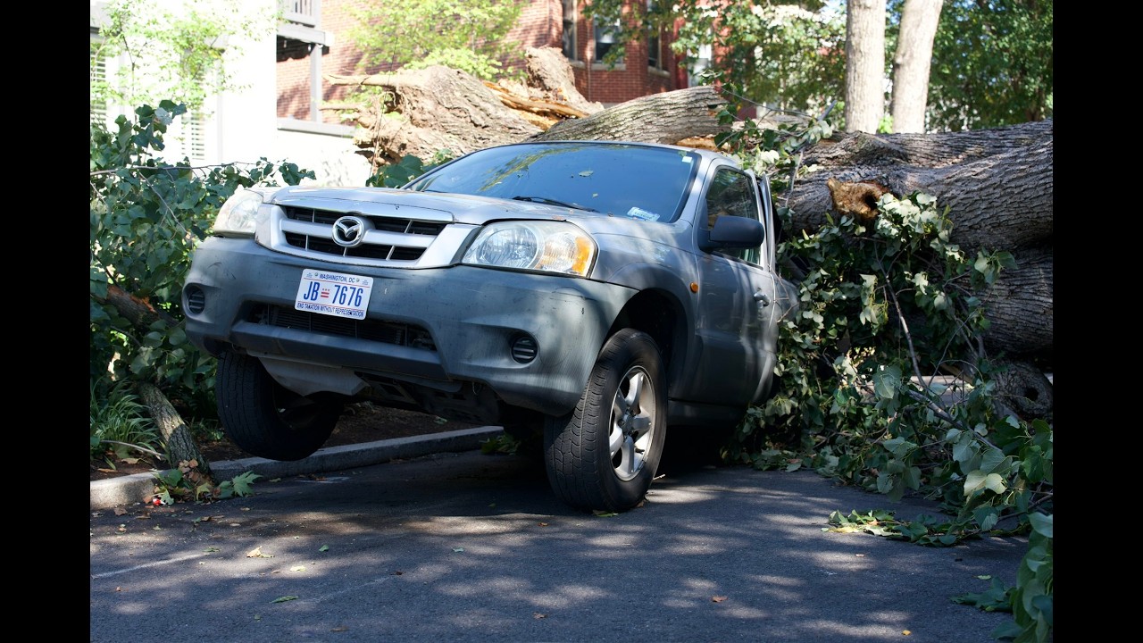 Storm Clobbers Washington, D.C. so we go look at the damage.