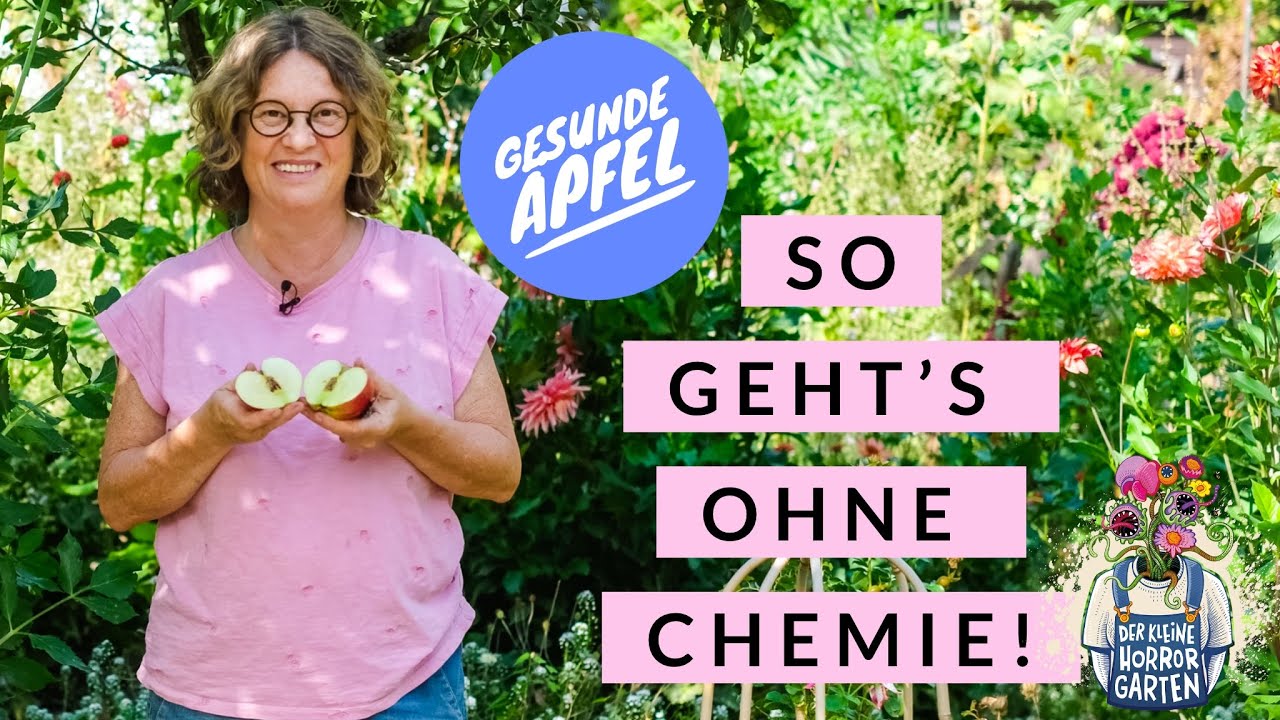 Sanft aber effektiv - meine Methoden gegen Schädlinge im Apfelbaum I der kleine Horrorgarten