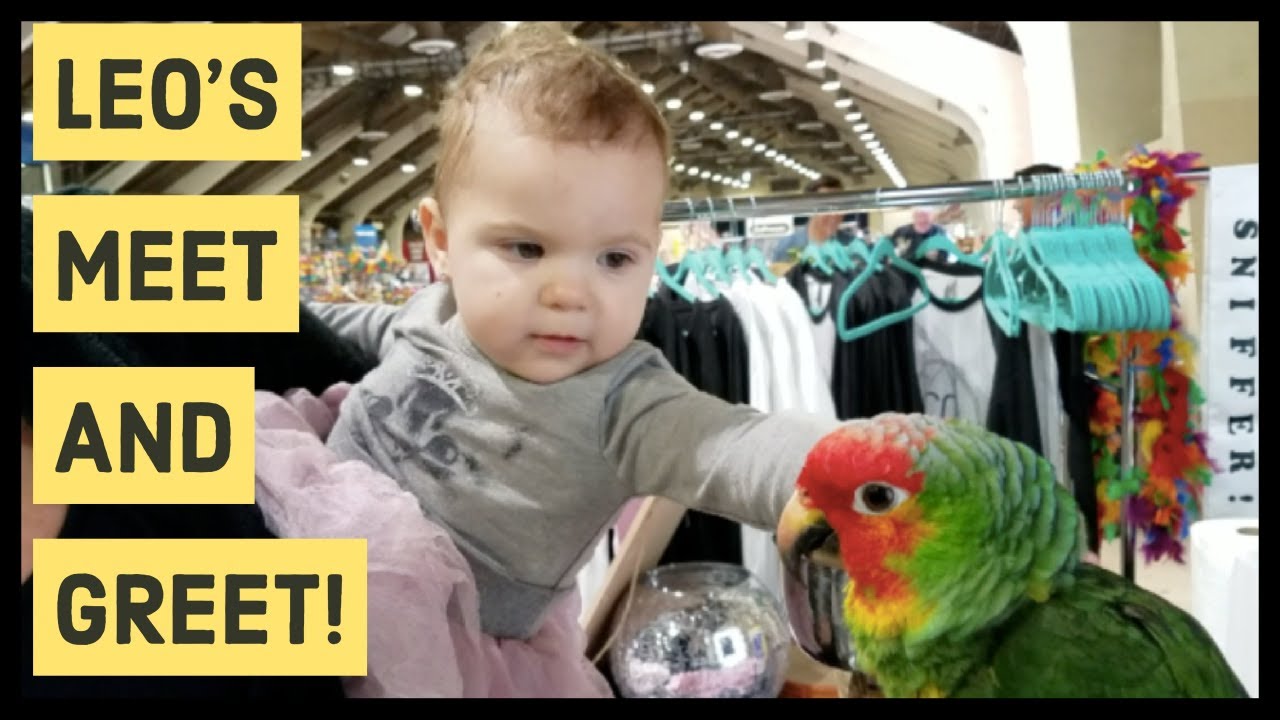 I TOOK LEO AND JERSEY TO BIRD MART! | STORY TIME SUNDAY