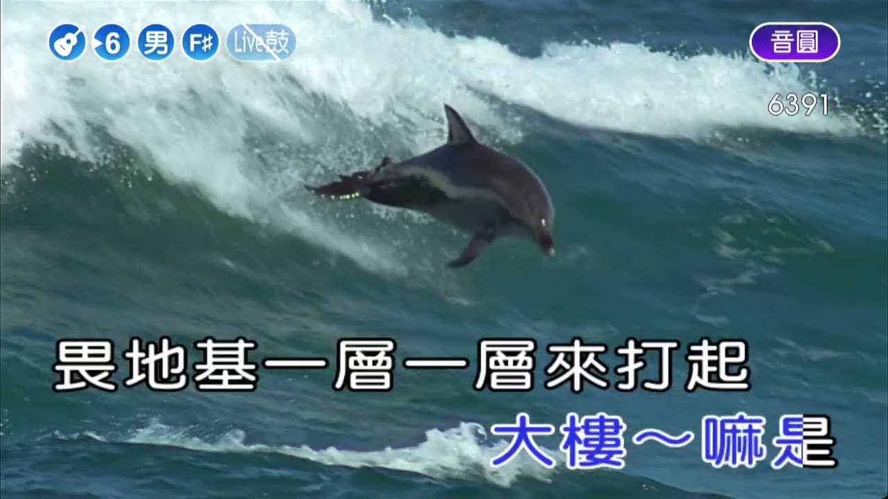 成功的條件~葉啟田~男F井調~伴奏~導唱丙
