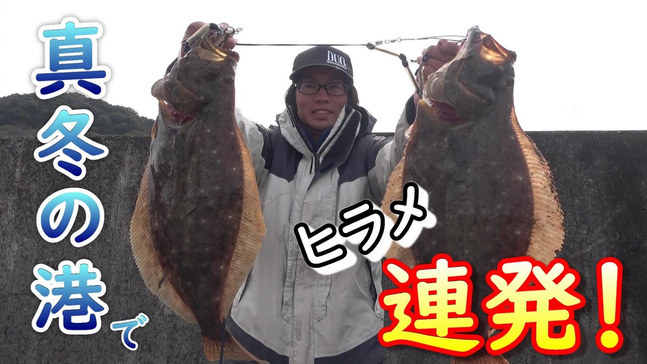 真冬のヒラメ釣りなら港内を狙えっ！