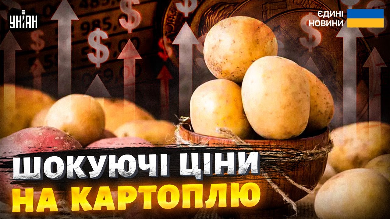 Картопля зникне з полиць? Ціни на ринках шокують: українці не бачили такого давно