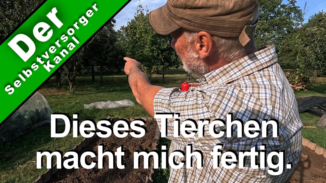 Dieses Tierchen macht mich fertig.