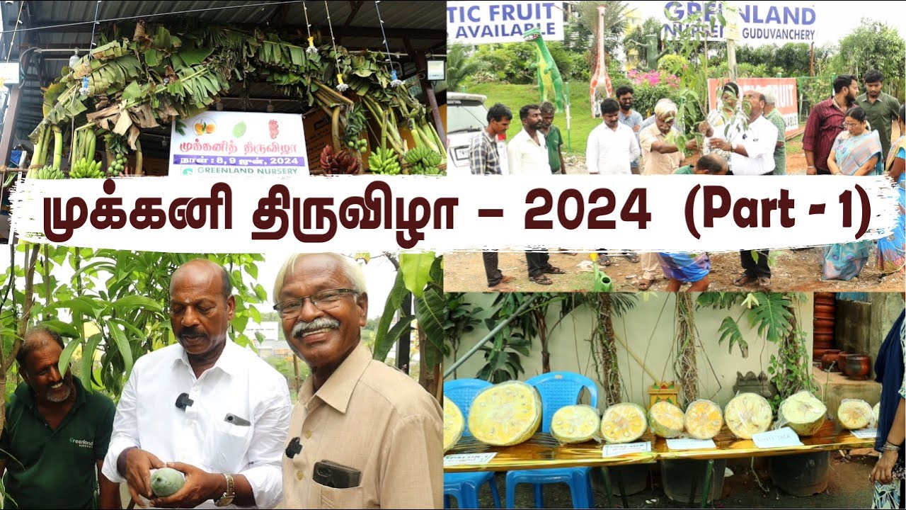 அமோக வரவேற்பை பெற்ற முக்கனி திருவிழா 2024 - Pt 1 | Greenland Nursery's Fruit Trilogy Exhibition🥝🥭🍌