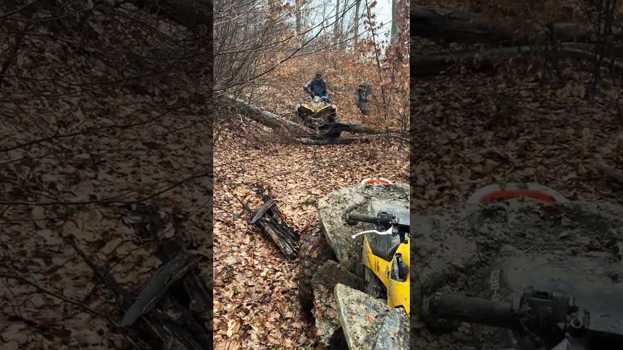 Climbing Over Fallen Trees Like a Monster🔥😱 Extreme Off-Road in the Woods! 🔥😱No Fear Forest Ride 