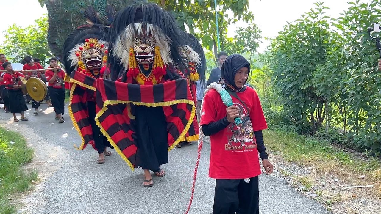 Konvoi Kesenian Barongan Blora Taruno Adi Joyo Keliling Desa