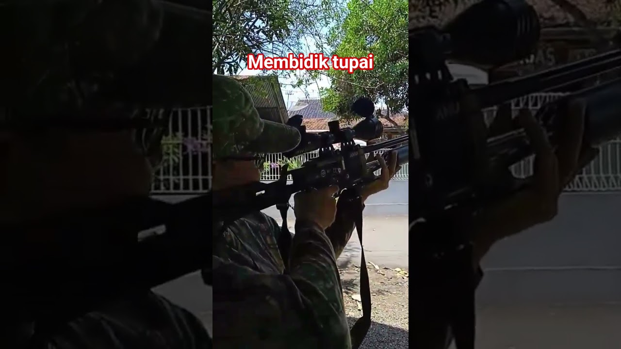 membidik tupai dikebun pinggiran kota