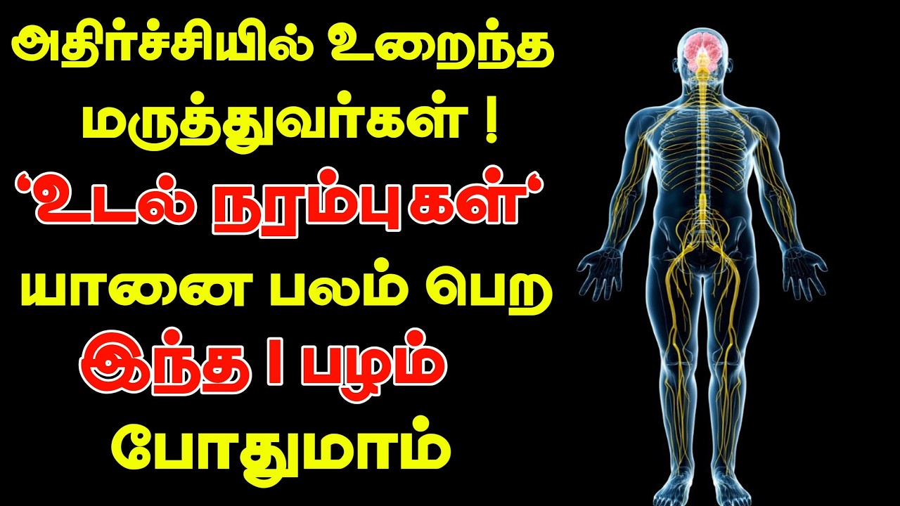 அதிர்ச்சியில் உறைந்த மருத்துவர்கள்! உடல் நரம்புகள் யானை பலம் பெற இந்த 1 பழம் போதுமாம்