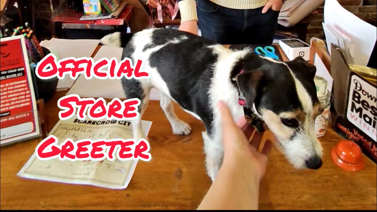 Shop with Me in Hallowell Maine and Big Announcement!!!