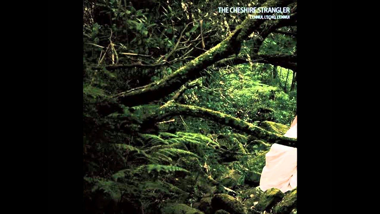 The Cheshire Strangler - L'ennemi