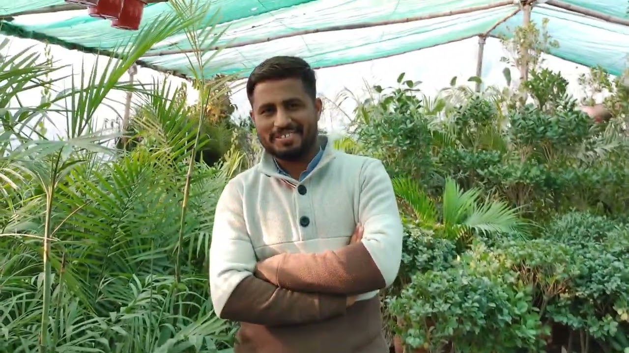 BEST PLANT NURSERY IN ISLAMABAD???