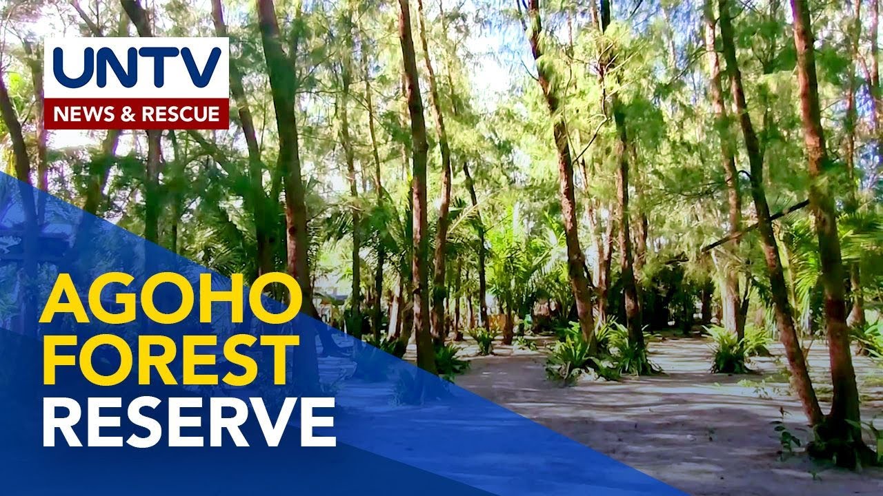 Agoho Forest Reserve, sumisikat na pasyalan sa Sorsogon