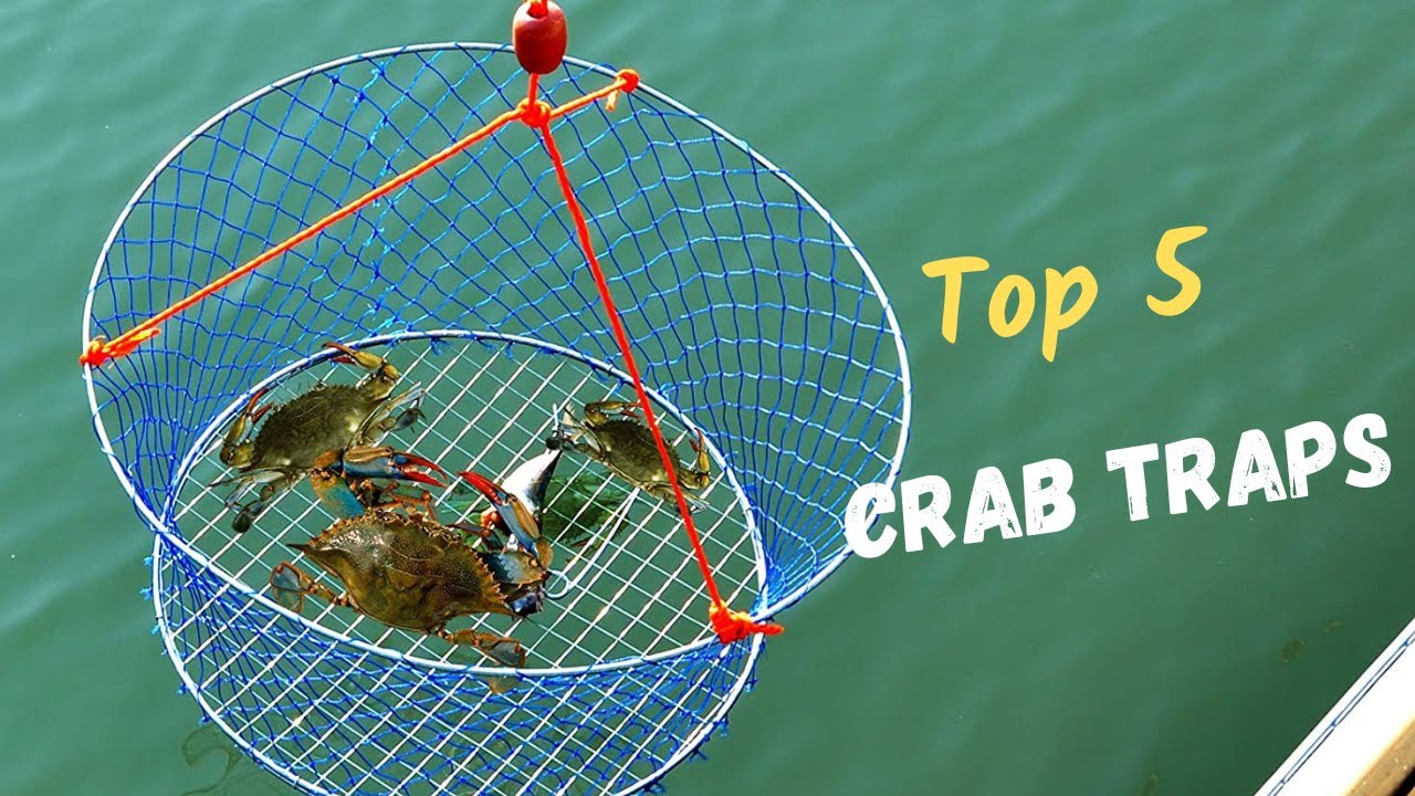 The Best   top 5 Crab Traps of 2023 | Buyer's Guide