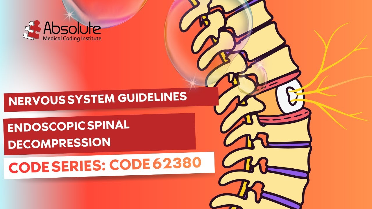 Nervous System —Endoscopic Spinal Decompression Coding (Guidelines) [Code Series: 61580–61619]
