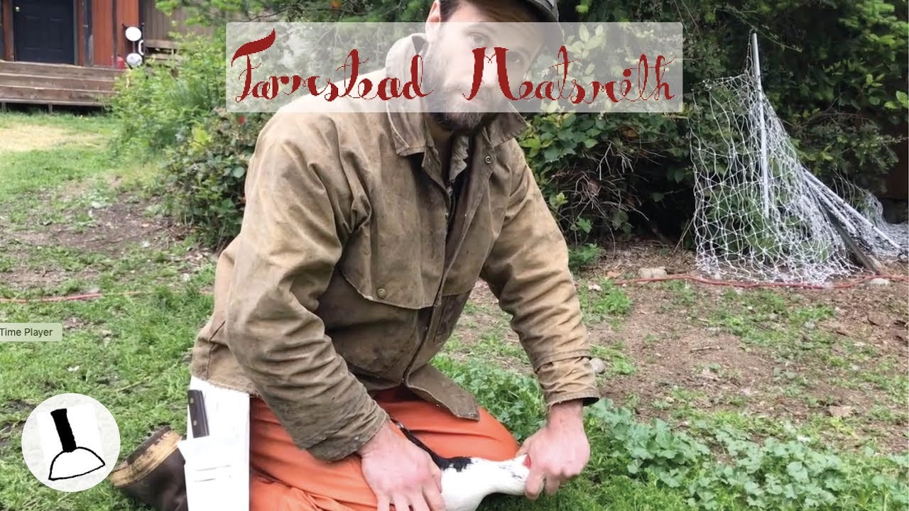 Muscovy Duck Harvest + Inglorious Tasks & Finding Your Calling: A Meatsmith Scraping
