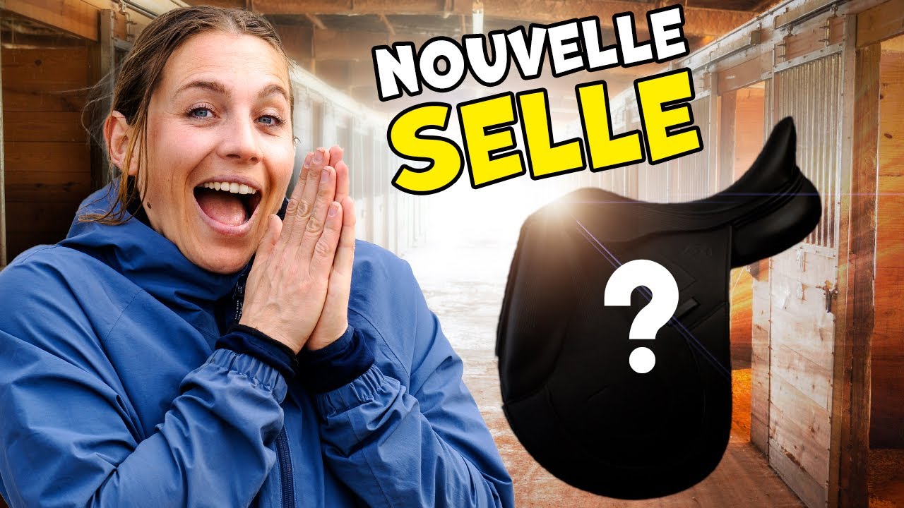 NOUVELLE SELLE DE DRESSAGE on choisit mon prochain bijou ensemble - DWH 2.0 🌻