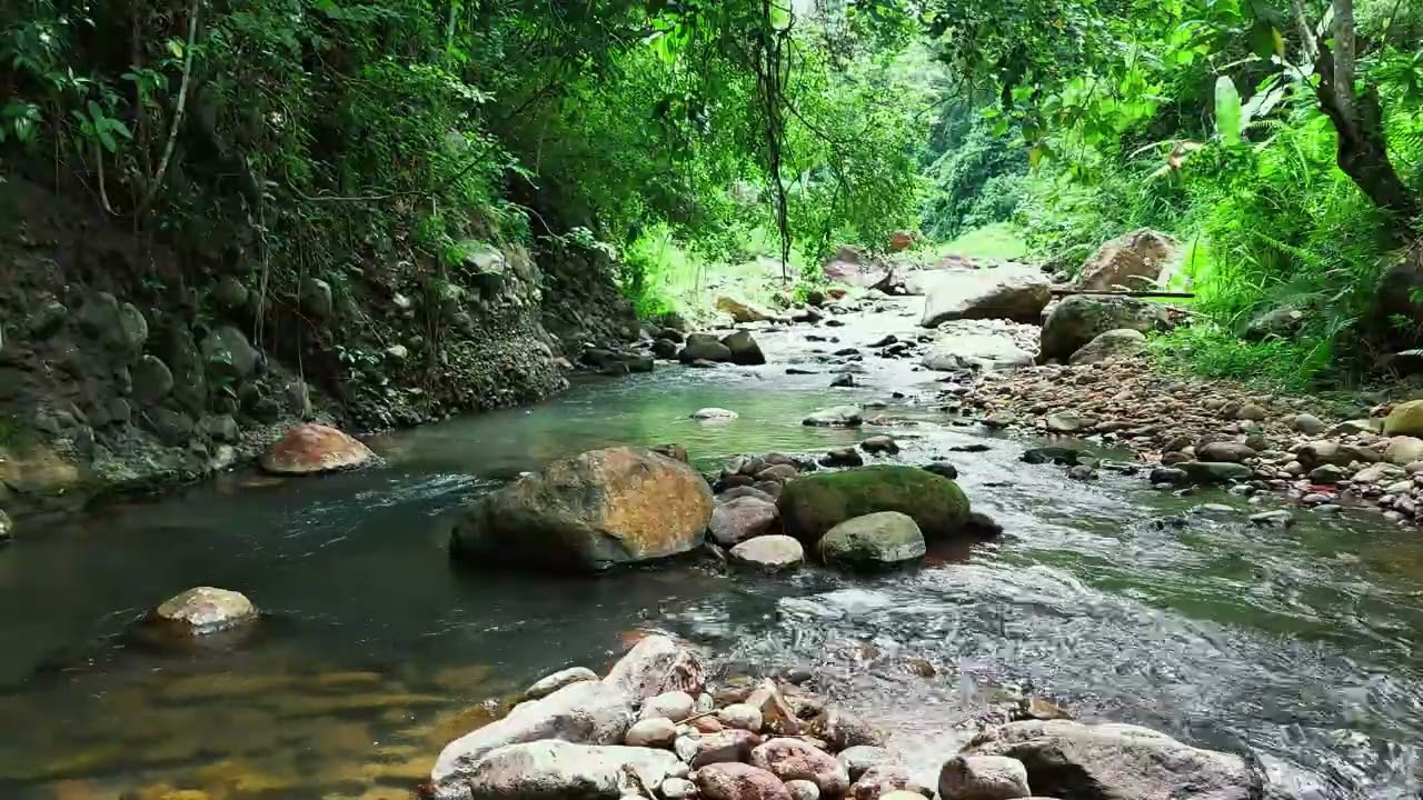 Authentic River Flow Sound | Forest Water Ambience for Meditation, Study & Healing