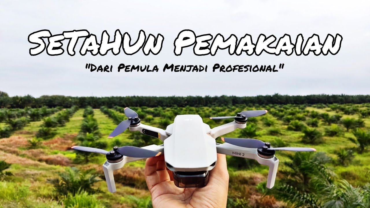 Review drone DJI MINI 2 | Apakah masih layak untuk saat ini?