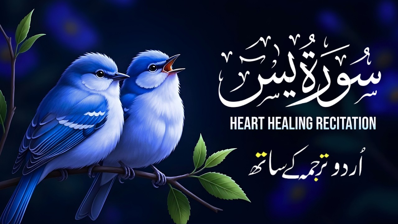 Surah Yaseen with Urdu Translation | Heart-Touching Tilawat by Qari Mansoor Ghaznavi | Ep023