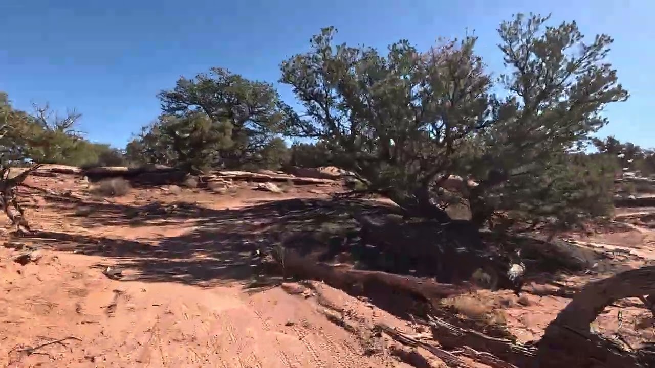 20251102V06 Navajo Rocks Loop