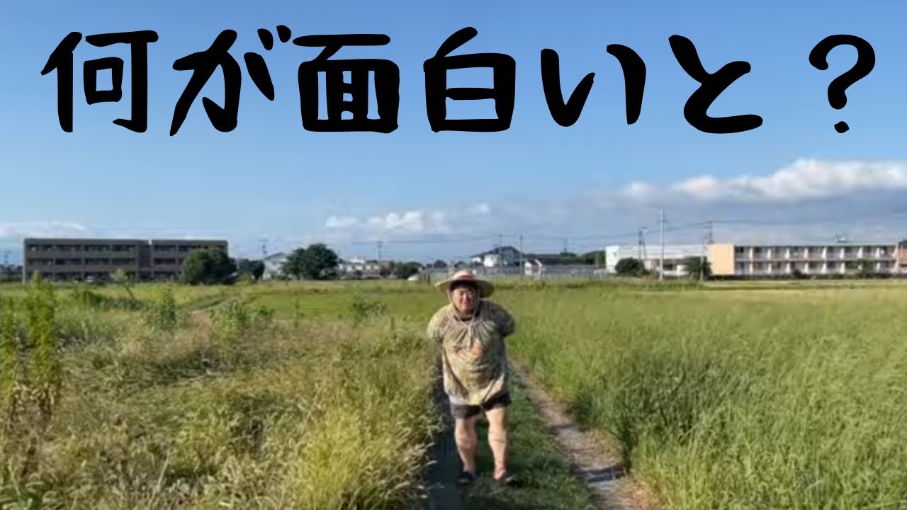 豚ざんまい恋愛祈願の旅〜食べて祈って恋をして〜