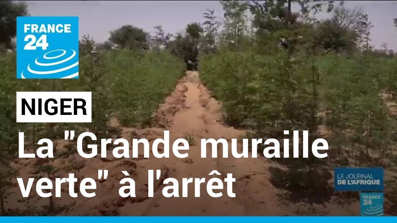 Niger : le projet de 