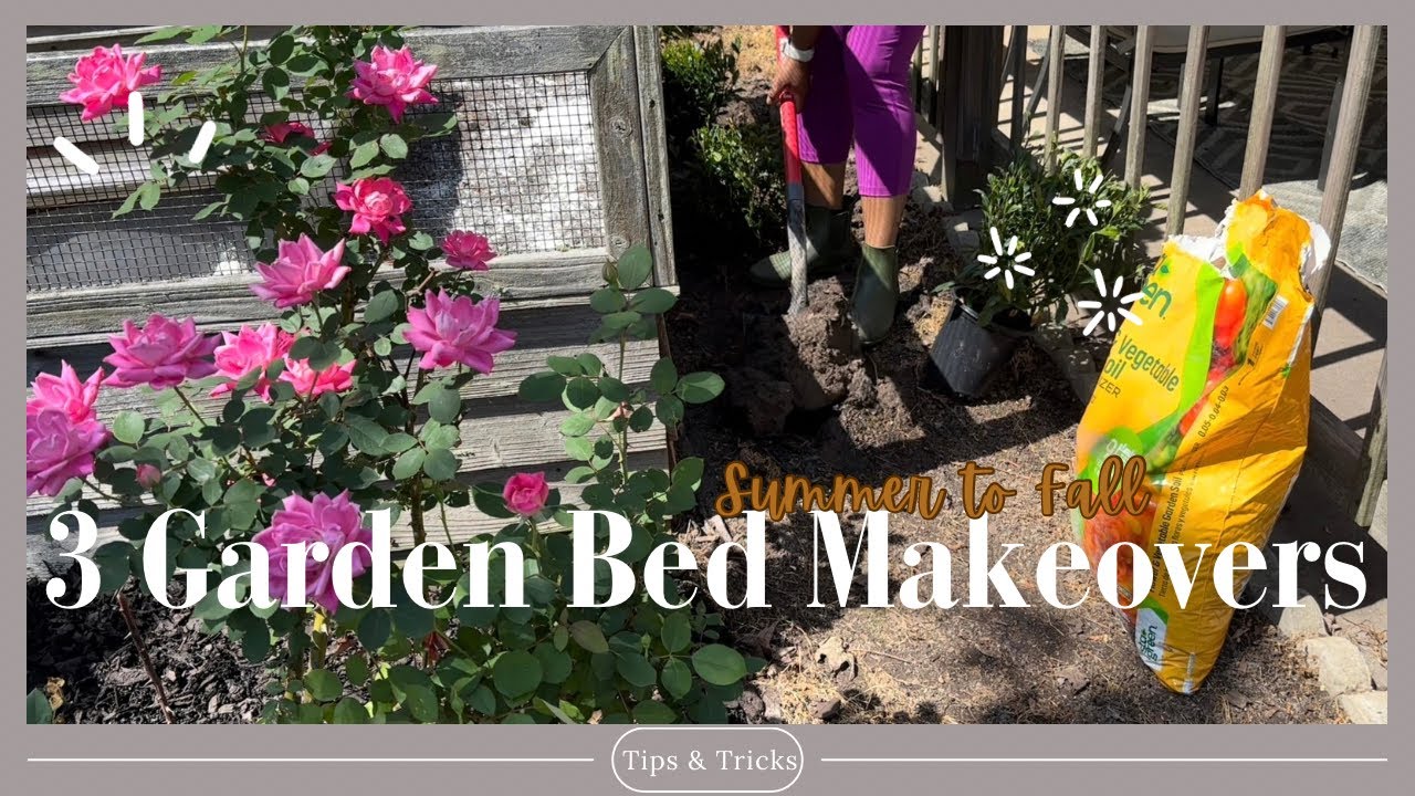 Landscaping 3 Garden Beds | SUMMER TO FALL 🍁
