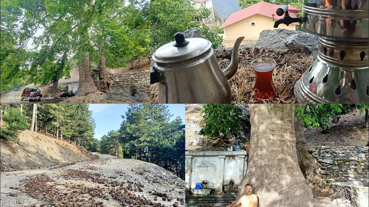 PAŞA YAYLASI; AYDIN'IN EN SERİN YERİ