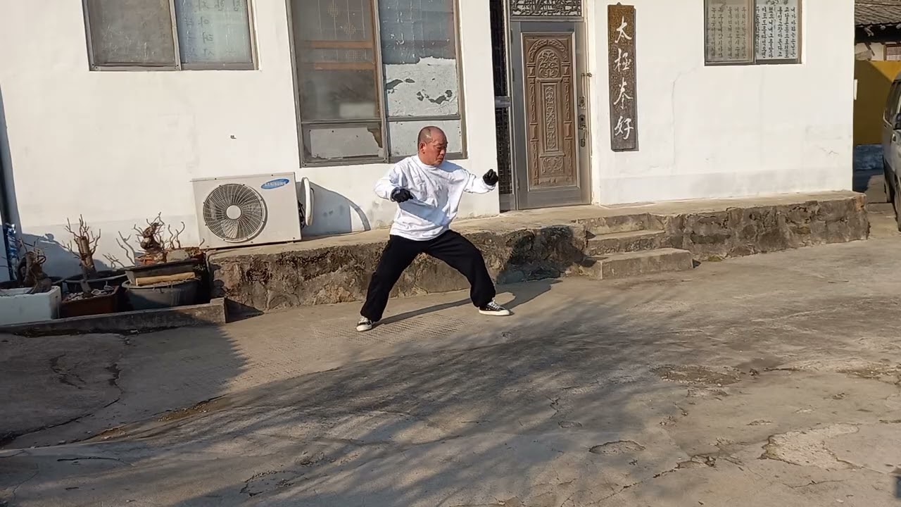 진식태극권 노가2로(간화)