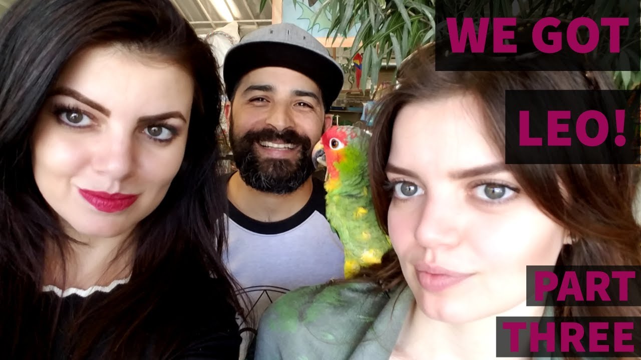 МОИ ПОКЛОННИКИ НА YOUTUBE — ЛУЧШИЕ! ОНИ КУПИЛИ МНЕ ПИТОМЦА!! (Правдивая история) | Архивы Лео | Ч...