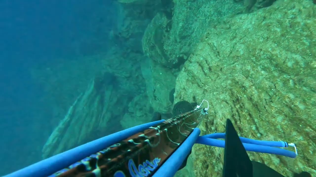 &Rho;&omicron;&phi;ό&sigmaf; 9 &kappa;&iota;&lambda;ά &mu;&epsilon; &sigma;&upsilon;&rho;&tau;ό... Raptor 115 invert rules!!!