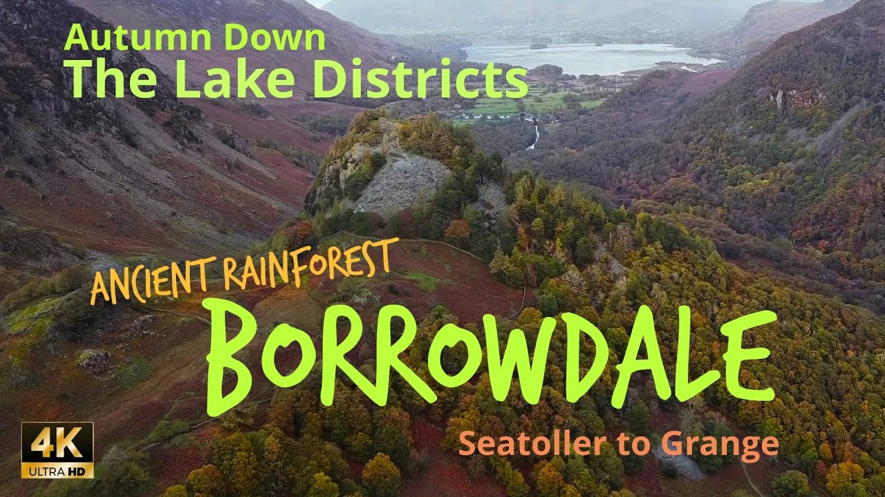 Borrowdale The Lake Districts Ancient Rainforest (Seatoller to Grange) Two Four Mile Circular Walks.
